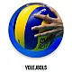 VOLEJBOLS