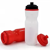 SPORTA PUDELES